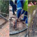 Obras de estabilização em encosta de morro de Santos entram em nova etapa