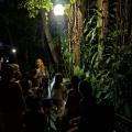 pessoas visitando o orquidário à noite #paratodosverem