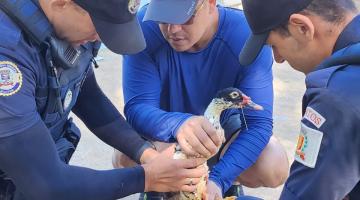 guardas seguram pato em frente a uma lagoa. #paratodosverem