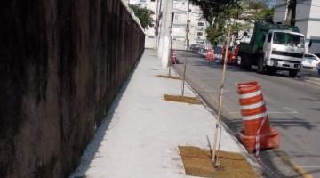 Plantio de árvores finaliza obras de mobilidade em rua de Santos 