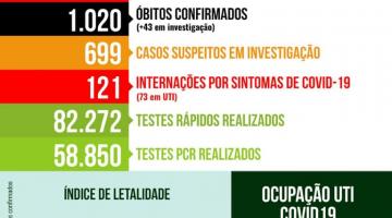 card com números de casos, mortes, internações etc por covid-19 #paratodosverem 