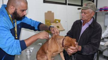 Vacinação contra leishmaniose em cães segue nos finais de semana em Santos