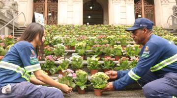 dois funcionários colocam vaso de flor na escadaria do paço. #paratodosverem