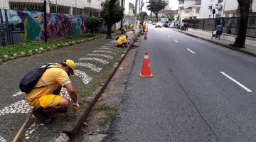 operários capinam em calçada #paratodosverem 