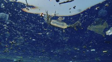 Associação internacional quer acabar com lixo marinho em Santos