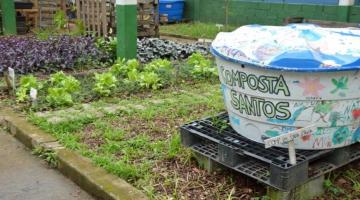 caixa de compostagem junto a canteiro de plantas. #paratodosverem