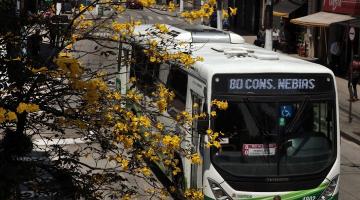 ônibus está em rua. Em primeiro plano, um ipê amarelo em flor. #paratodosverem 