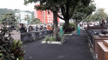 Limpeza remove 85% do mato em cemitério santista. Capinação segue por toda a Cidade