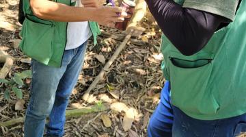 dois agentes uniformizados estão em área rural observando larvas em recipiente. #paratodosverem