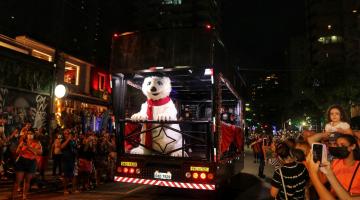 carreata tem urso em caminhão #paratodosverem