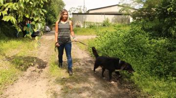 mulher passeia com cachorro #paratodosverem