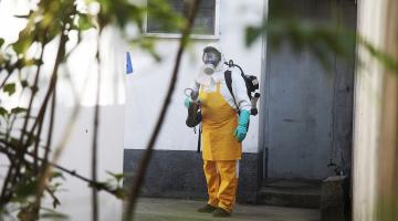 Aplicado inseticida contra a chikungunya em 105 imóveis em Santos