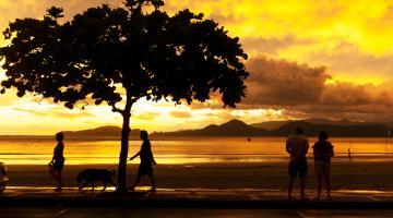 Galeria de Santos recebe exposição fotográfica sobre as árvores