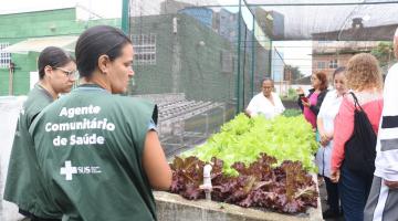 agentes de saúde olham horta #paratodosverem