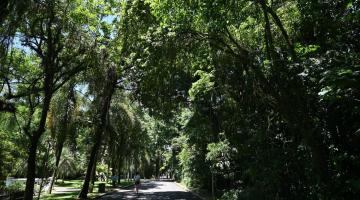 Vista do Jardim Botânico. #Paratodosverem