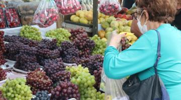 idosa escolhe uvas na feira #paratodosverem