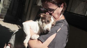 mulher abraça cachorro #paratodosverem 