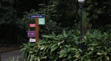Orquidário promove Encontro de Ideias Verdes