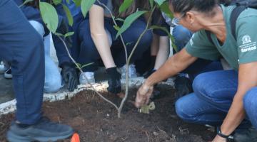 pessoas plantando arvores #paratodosverem