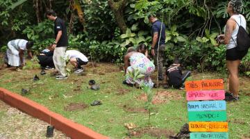 pessoas plantando arvores #paratodosverem