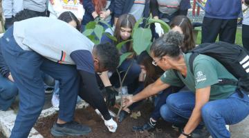 alunos e voluntários plantam árvore #paratodosverem