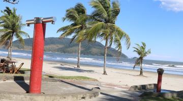 Folhas de árvores para um lado indicam passagem de vento forte. Foto é na areia da praia onde estão plantadas palmeiras. #paratodosverem