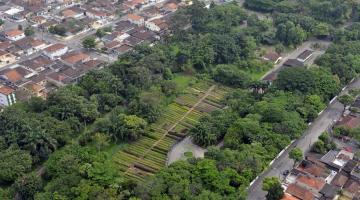 Vista do alto de parque com muitas árvores. Ele está no meio de uma região habitacional. #Pracegover