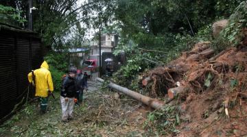 Homens limpam área em encosta onde houve deslizamento. Há um monte de terra e árvores no entorno, com troncos caídos. #Paratodosverem