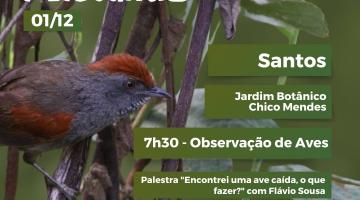 Passeio guiado permite observar aves no Jardim Botânico de Santos