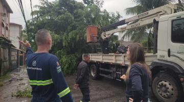 árvore caída e caminhão para remoção ao lado, #paratodosverem 