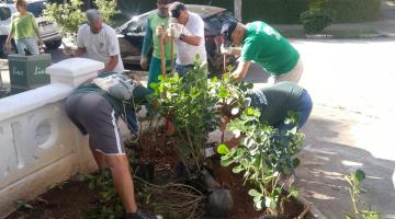 voluntários plantando mudas #paratododsverem
