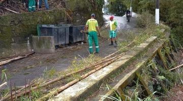 Trabalhadores retiram bambus de via no morro #paratodosverem