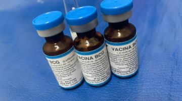 três frascos de vacina BCG