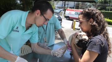 Mulher segura cão para o teste rápido com profissionais. #paratodosverem