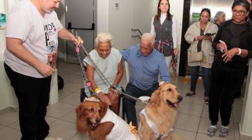 cães com idosos em hospital #paratodosverem