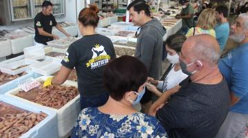 várias pessoas em frente a box de venda de peixes. Caixas de isopor contêm muitos camarões e de espécies variadas. #paratodosverem