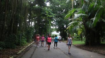 pessoas caminhando no botânico #paratodosverem