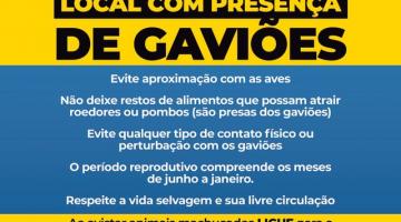 card do evento #paratodosverem 