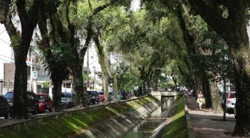 canal em avenida ladeado por árvores. #paratodosverem