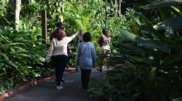 pacientes andando no orquidário #paratodosverem 