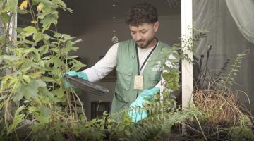 agente de combate à dengue está atrás de janela aberta mexendo em plantas voltadas para fora. Ele usa luvas. #paratodosverem 