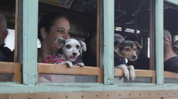 Pets invadem o bonde de Santos no Dia Mundial dos Animais