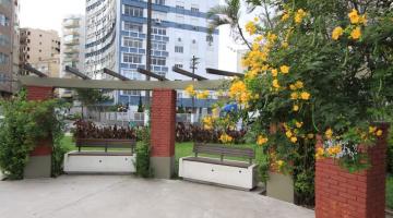 recanto com flores amarelas. #paratodosverem 