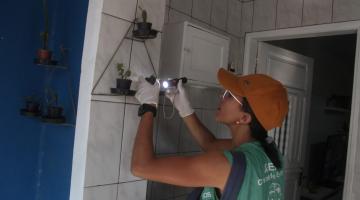 Mutirão contra o Aedes elimina 62 focos com larvas no Macuco, em Santos