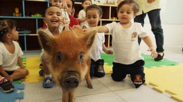 crianças sorriem acariciando porquinha. #paratodosverem