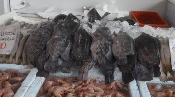 Mercado de Peixes de Santos oferece tilápia com mais de 20% de desconto