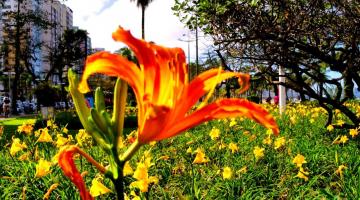 Moldura da orla, jardins são cartão-postal da Cidade