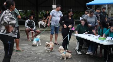Santos imuniza 200 cães com vacina V10 gratuita em campanha da Codevida
