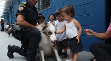 guarda segura cão para menina tocar. #paratodosverem