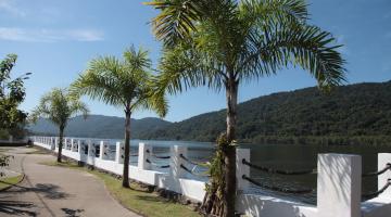 paisagem com árvore #paratodosverem